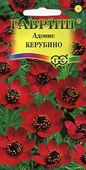 Адонис летний Керубино 0,2 г