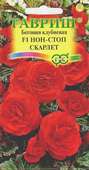 Бегония Нон-стоп Скарлет F1 гранул. 4 шт. пробирка Н10