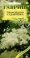 Сирень амурская Сударушка*  0,1 г Н10