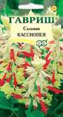 Сальвия Кассиопея* карликовая  5 шт Н11