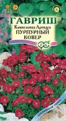 Камнеломка Арендса Пурпурный ковер* 0,01 г  Н12