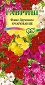 Флокс Очарование , друммонда смесь* 0,05 г Н12